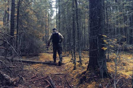 Купить диплом Егеря, лесника в Одинцово