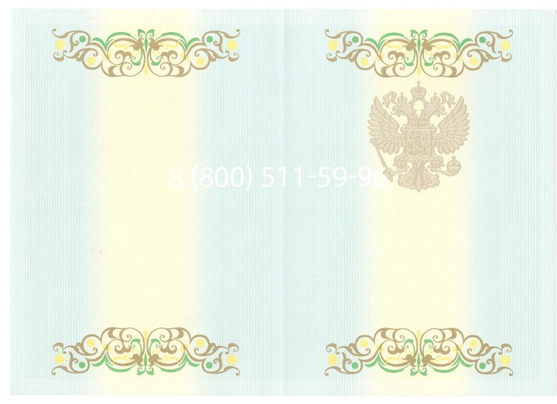 Купить Диплом бакалавра 2012-2013 годов в Одинцово Купить Диплом бакалавра 2012-2013 годов в Одинцово