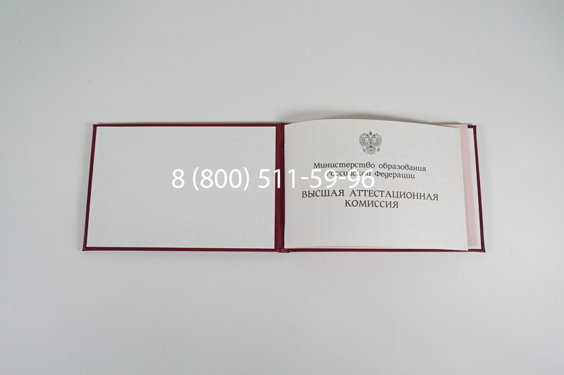 Диплом доктора наук 1995-2006 года в Одинцово Диплом доктора наук 1995-2006 года в Одинцово