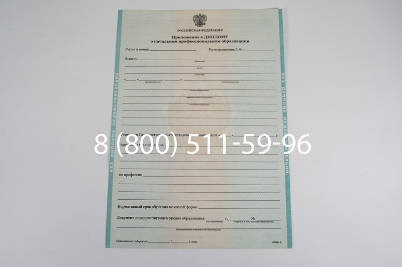 Диплом ПТУ 2014-2024 года в Одинцово Диплом ПТУ 2014-2024 года в Одинцово